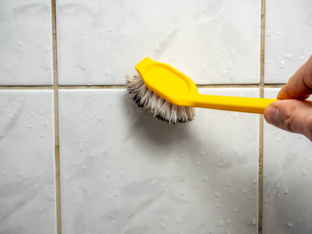 Best Mold Remediation for Schools in Spring Lake, NJ