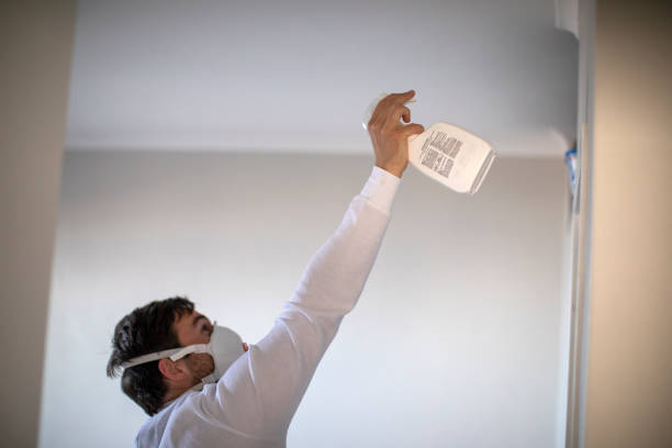 Best Mold Remediation for Specific Building Types in Spring Lake, NJ