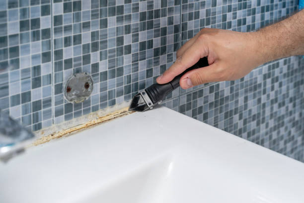 Best Mold Testing and Inspection Services in Spring Lake, NJ
